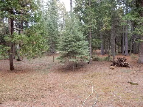 8100 Sky Tree Ln, Shingletown, CA 96088 photo 3