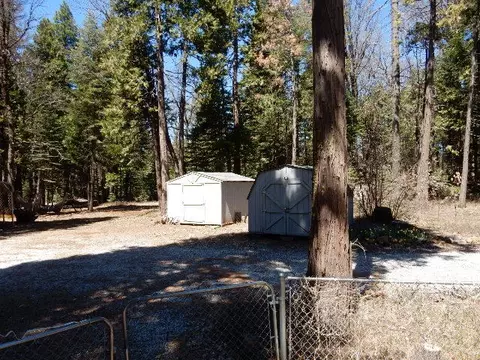 8100 Sky Tree Ln, Shingletown, CA 96088 photo 19