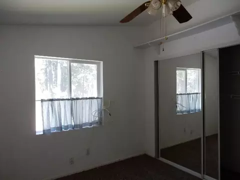 8100 Sky Tree Ln, Shingletown, CA 96088 photo 15