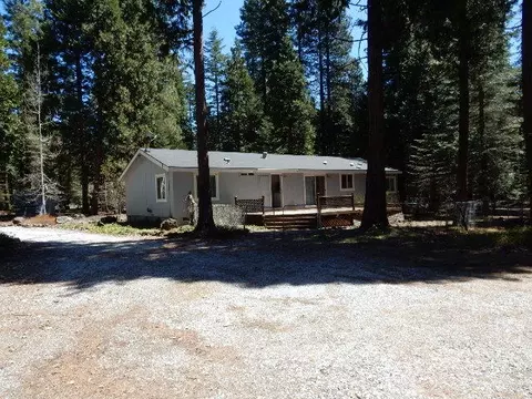 8100 Sky Tree Ln, Shingletown, CA 96088 photo 17