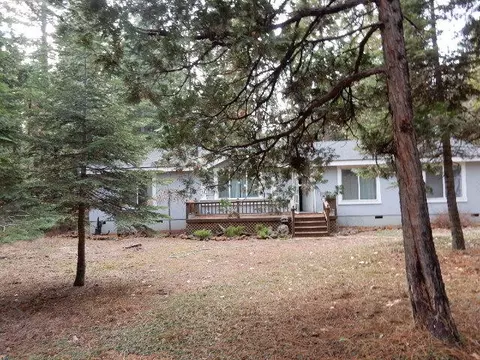 8100 Sky Tree Ln, Shingletown, CA 96088 photo 1