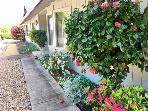 20223 E Margarita Ct, Redding, CA 96002 photo 30