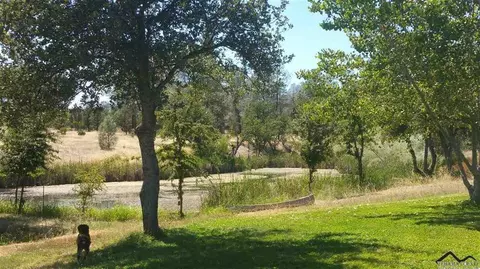 12482 Platina Rd, Igo, CA 96047 photo 39