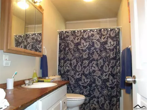 12482 Platina Rd, Igo, CA 96047 photo 24