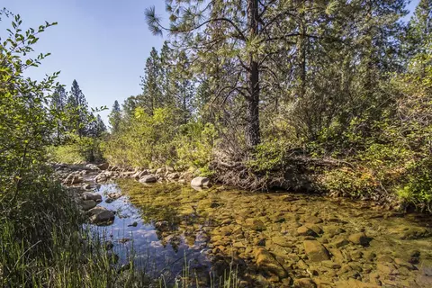 12005 Iron Mountain Rd, Redding, CA 96001 photo 30