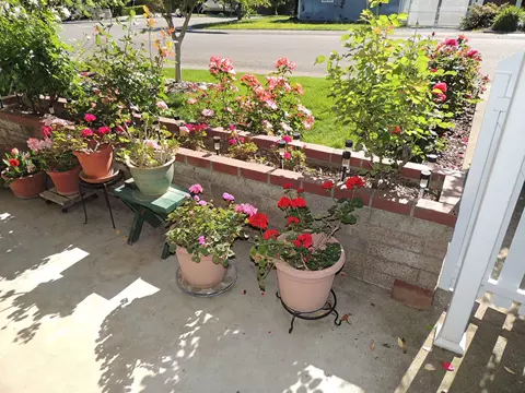 4205 Travona St, Redding, CA 96001 photo 36