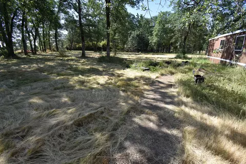 11782 Shady Meadows Ln, Redding, CA 96003 photo 19