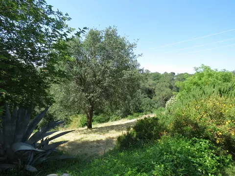 3670 Stokes Ct, Redding, CA 96001 photo 25