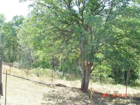 4025 Ormsby Way, Redding, CA 96003 photo 25