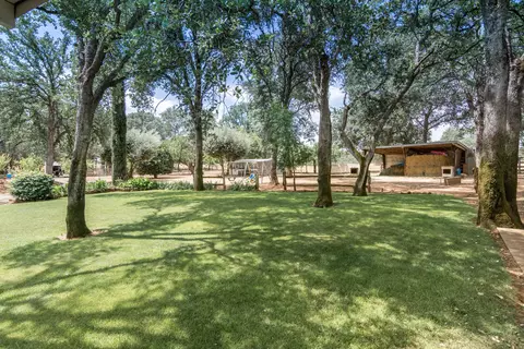 14636 Green Dr, Red Bluff, CA 96080 photo 18