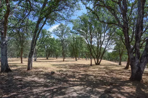 14636 Green Dr, Red Bluff, CA 96080 photo 10