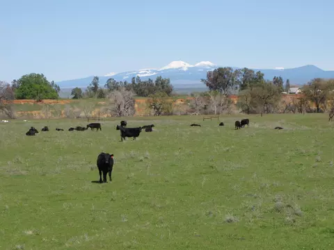 11900 Rawson Rd, Red Bluff, CA 96080 photo 1