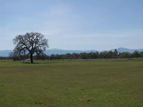 11900 Rawson Rd, Red Bluff, CA 96080 photo 3