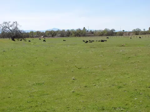 11900 Rawson Rd, Red Bluff, CA 96080 photo 4