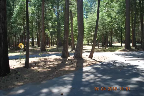 35330 Redwood Dr, Shingletown, CA 96088 photo 39