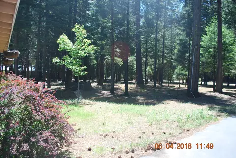 35330 Redwood Dr, Shingletown, CA 96088 photo 40