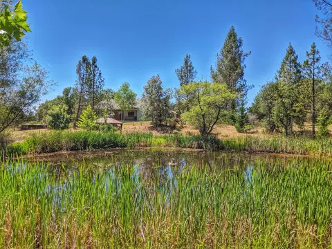 6818 Rector Creek Rd, Igo, CA 96047 photo 30