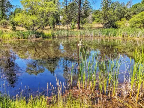 6818 Rector Creek Rd, Igo, CA 96047 photo 31