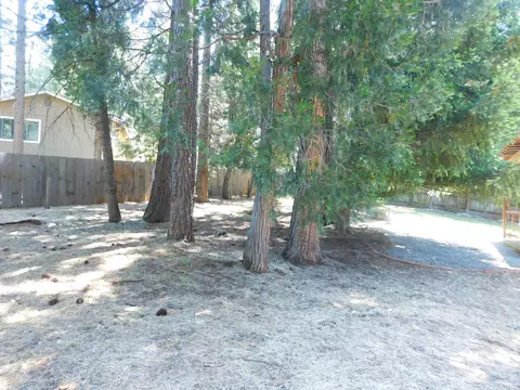 20155 Mapleleaf St, Burney, CA 96013 photo 19
