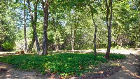 7450 Tahoe Ln, Shingletown, CA 96088 photo 37