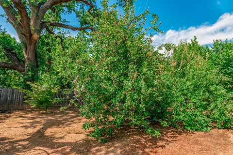 5247 Morning Dew Way, Redding, CA 96001 photo 39