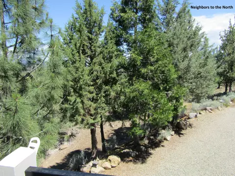 15009 Juniper Peak Rd, Weed, CA 96094 photo 46