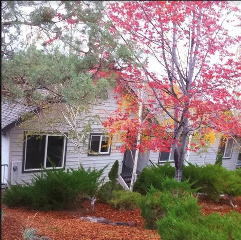 15009 Juniper Peak Rd, Weed, CA 96094 photo 3