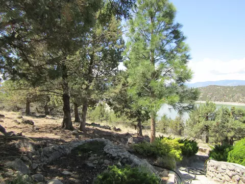 15009 Juniper Peak Rd, Weed, CA 96094 photo 49