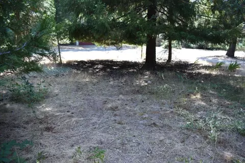 200 Ann Ave, Trinity Center, CA 96091 photo 43