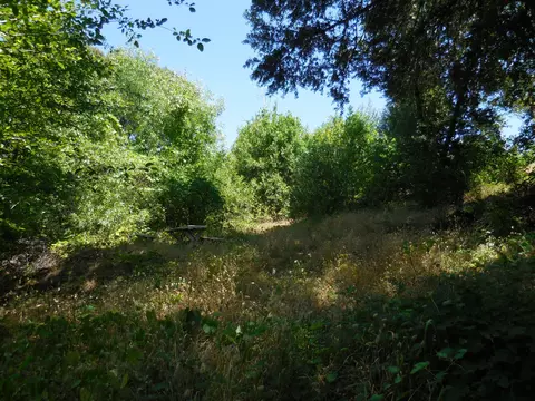 31319 Manton Rd, Manton, CA 96059 photo 18