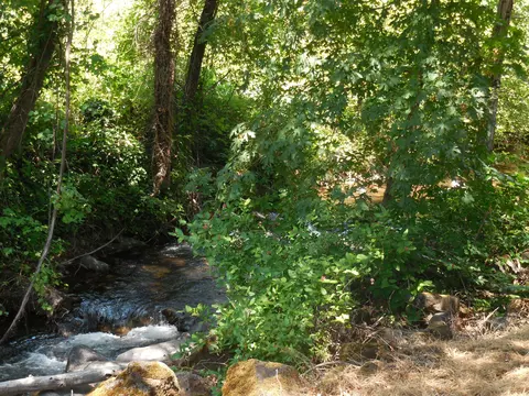 31319 Manton Rd, Manton, CA 96059 photo 13