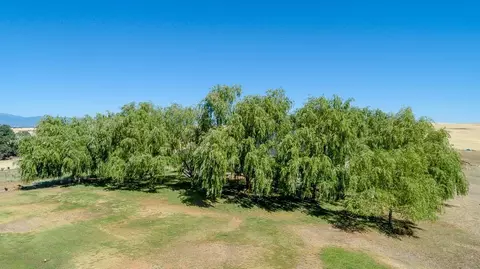 5520 Janine Way, Corning, CA 96021 photo 62