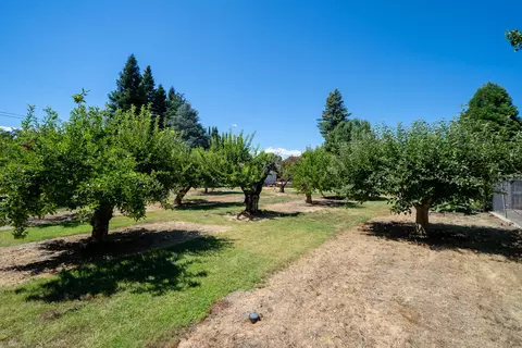 2955 Balaton Ave, Redding, CA 96001 photo 44