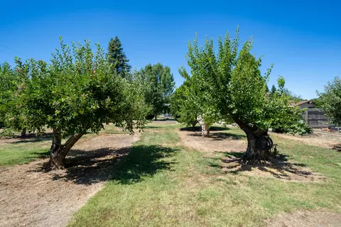 2955 Balaton Ave, Redding, CA 96001 photo 45