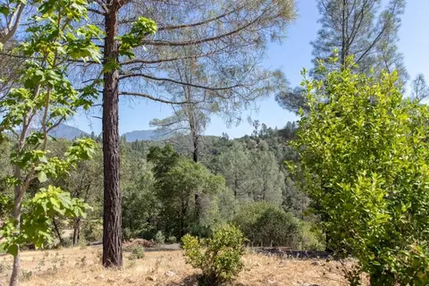 15020 Bear Mountain Rd, Redding, CA 96003 photo 42