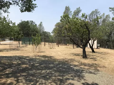 7886 Justice Mine Rd, Redding, CA 96001 photo 29