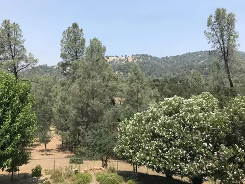 7886 Justice Mine Rd, Redding, CA 96001 photo 19