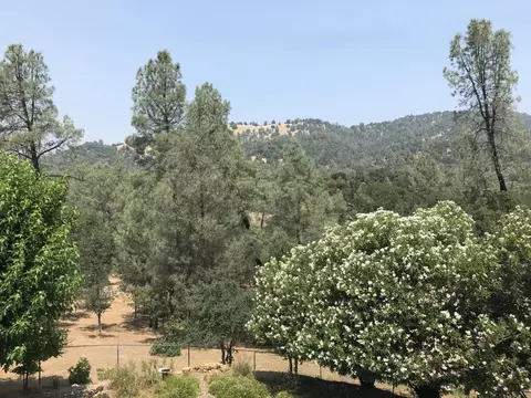 7886 Justice Mine Rd, Redding, CA 96001 photo 20