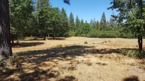 28388 State Highway 44, Shingletown, CA 96088 photo 57