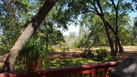 28388 State Highway 44, Shingletown, CA 96088 photo 53