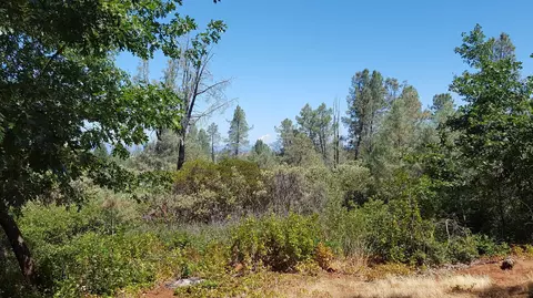 28388 State Highway 44, Shingletown, CA 96088 photo 20