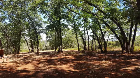 28388 State Highway 44, Shingletown, CA 96088 photo 52