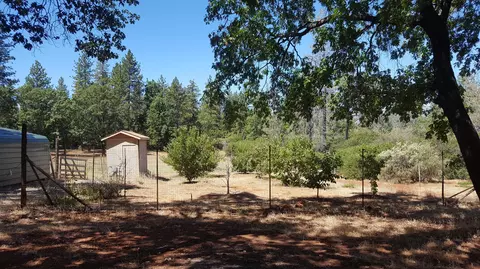 28388 State Highway 44, Shingletown, CA 96088 photo 43