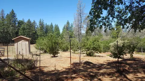 28388 State Highway 44, Shingletown, CA 96088 photo 44