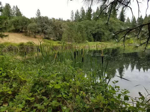 13234 Fern Rd, Whitmore, CA 96096 photo 11