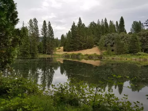 13234 Fern Rd, Whitmore, CA 96096 photo 3
