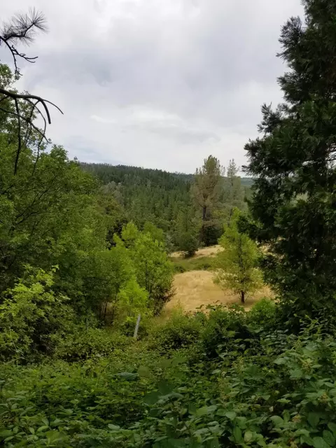 13234 Fern Rd, Whitmore, CA 96096 photo 10