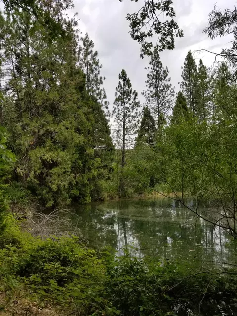13234 Fern Rd, Whitmore, CA 96096 photo 8