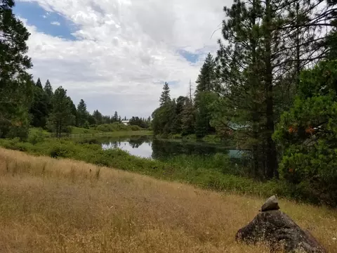 13234 Fern Rd, Whitmore, CA 96096 photo 15
