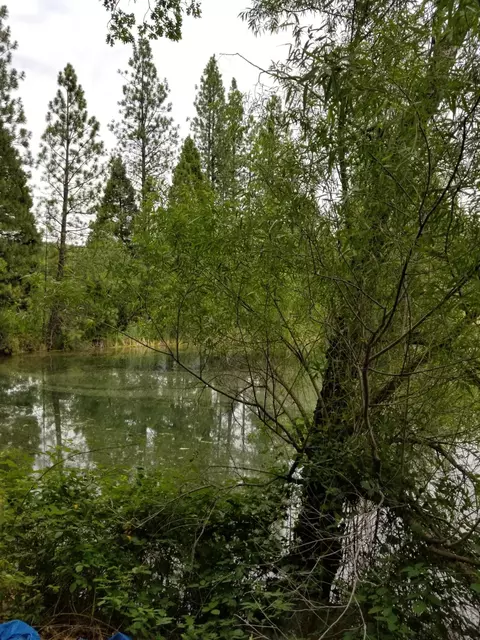 13234 Fern Rd, Whitmore, CA 96096 photo 7